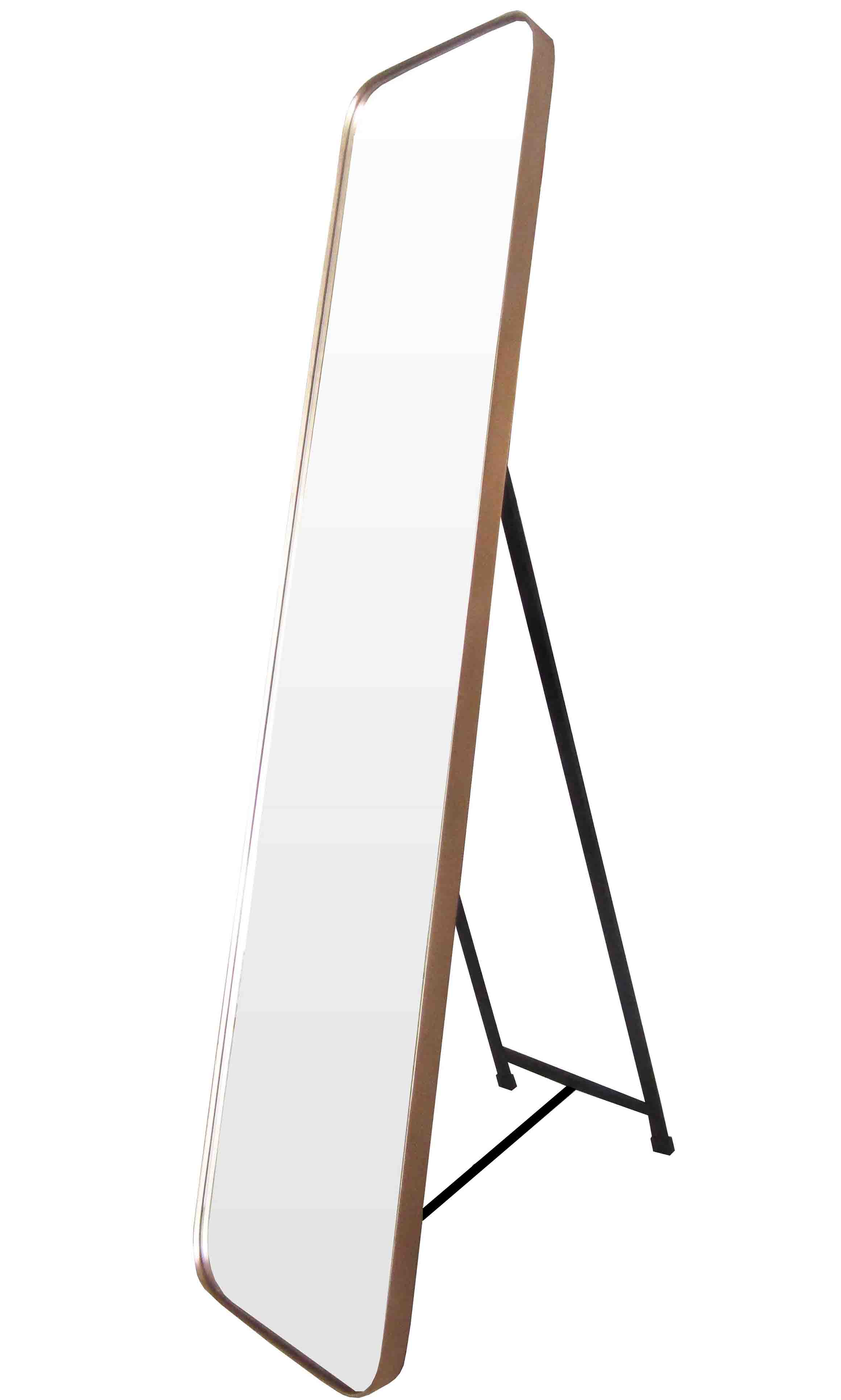 TS109 Wall décor art mirror modern gold rectangular vertical floor standing